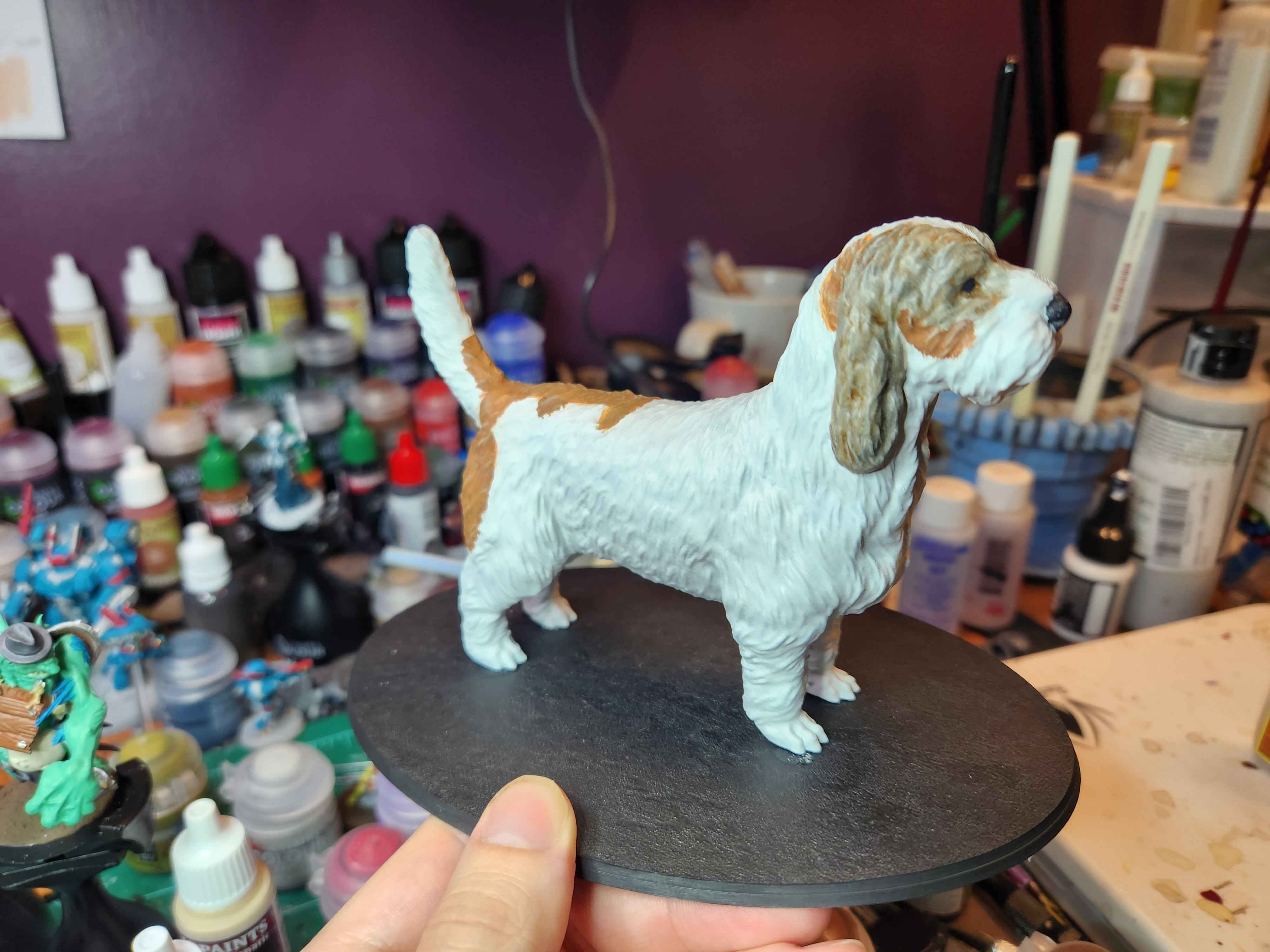 Dog