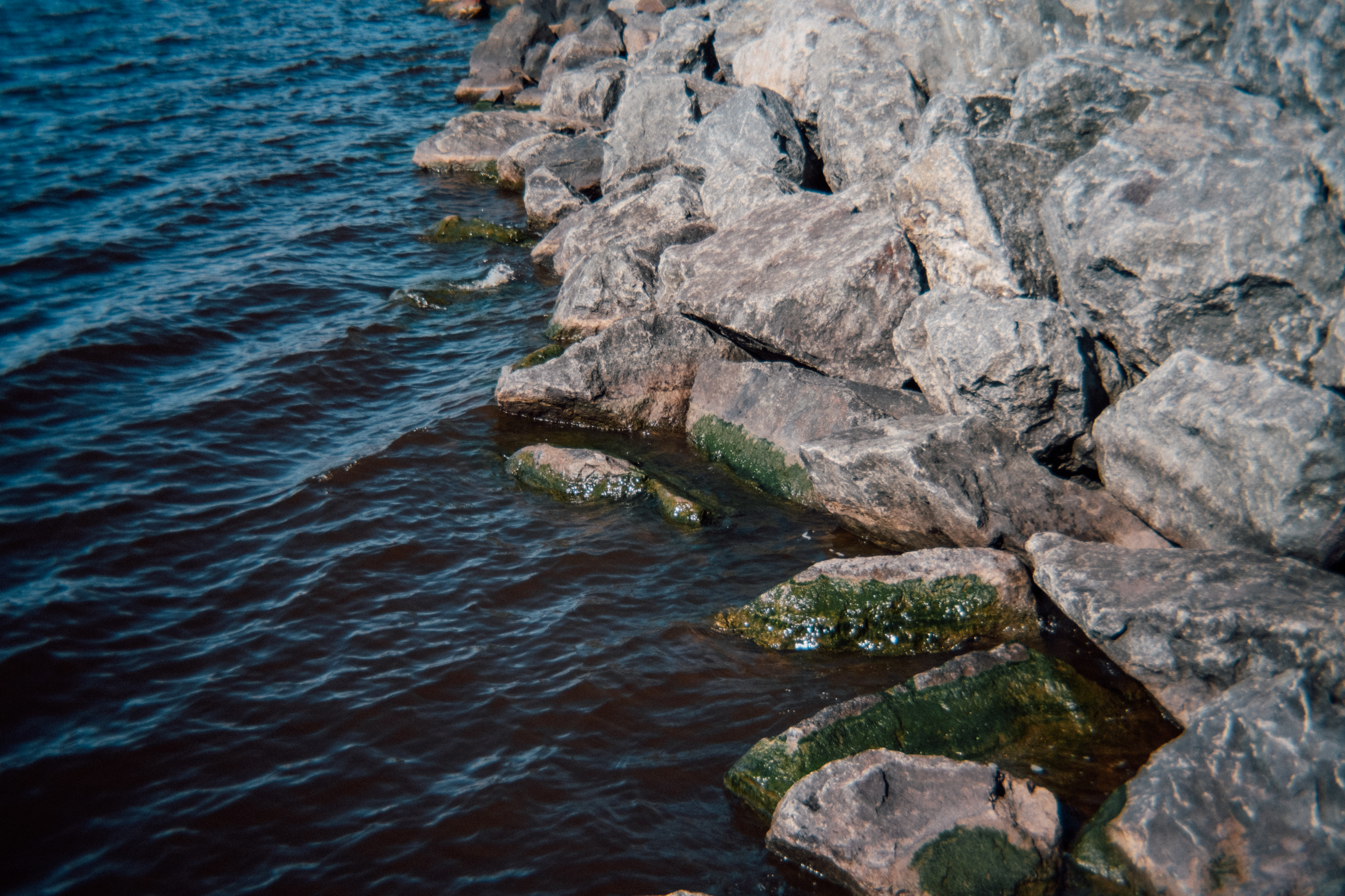 Retropia lens